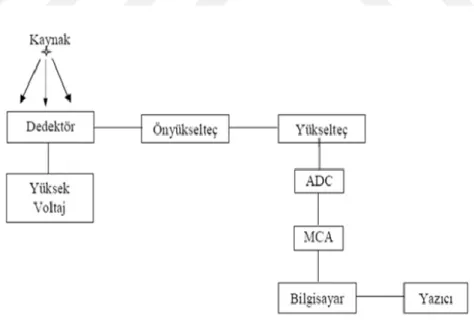 Şekil 2.10. Gama spektrometresinin çalışma düzeneği (Cesur, 2015). 