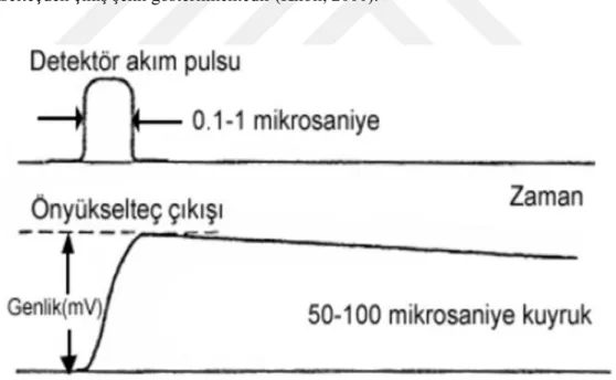 Şekil 2.12. Önyükselteç devresi puls çıkışı (Gilmore, 2008). 