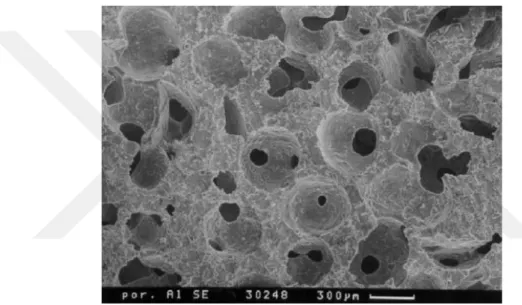 Şekil 3.13. Boşluk tutucu malzemeleri uzaklaştırılmış bir açık hücreli köpük metalin mikro yapı  görüntüsü (Banhart, 2001)