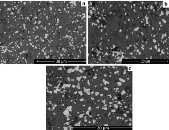 Fig. 12   Microstructure images  of (MZC55) specimens sintered  at a 1450, b 1500 and c 1550 °C  for 5 h