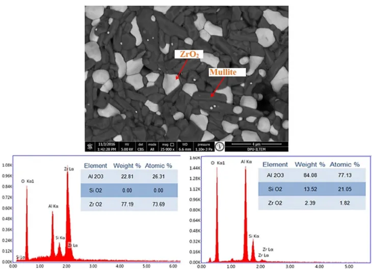 Fig. 13   EDX analysis of mixed (MZC55) composition