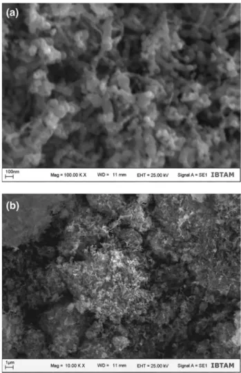 Fig. 1   SEM image of nZVI a 100kX, b × 10 k magnification