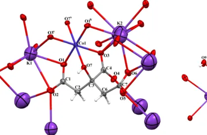 Figure 1. The molecular structure of crystal 1 showing the atom numbering scheme [(v) − x + 1, −y + 1, −z + 1].