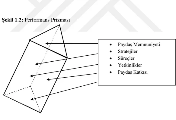Şekil 1.2: Performans Prizması 