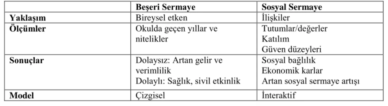 Tablo 2.3: Beşeri ve Sosyal Sermaye Arasındaki İlişki 