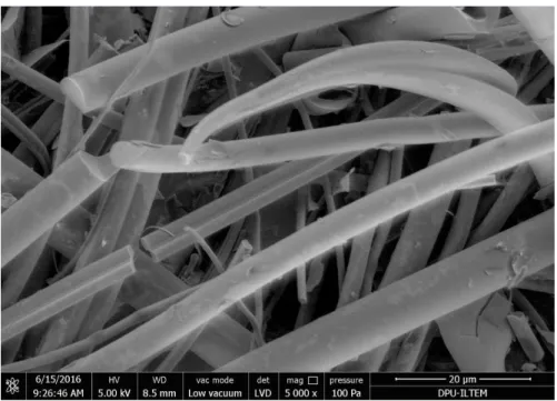 Şekil 4.6. GF-CTP elektrotun SEM görüntüsü (5000X). 