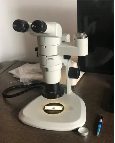 Şekil  1.6.  SMZ-1000  marka  mikroskop  altında,  tablaya  dökülen  örneklerin  iğne  yardımıyla  planktonik foraminifer ve ostrakod içeriğinin tanımlanması