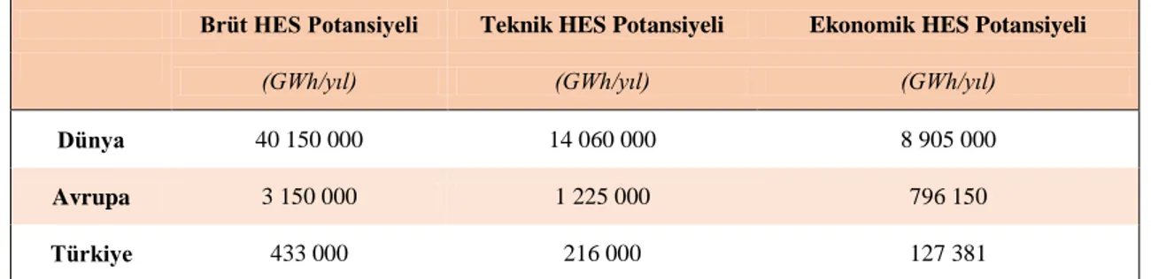 Çizelge 2.9 ‘dan da anlaşılacağı gibi Türkiye ‘nin sahip olduğu 433 GWh/yıl ‘lık brüt  hidroelektrik potansiyelinin 216 GWh/yıl kadarlık kısmı teknik potansiyeli; 127,381 GWh/yıl ‘lık  kısmı ise ekonomik potansiyelidir (Özgür 2006)