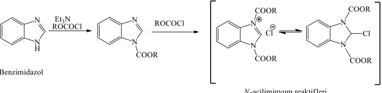 Şekil 2.8. Benzimidazol ve alkil kloroformatlardan açiliminyum reaktiflerinin hazırlanması