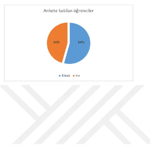Tablo 1.1: Ankete Katılan Öğrenciler 
