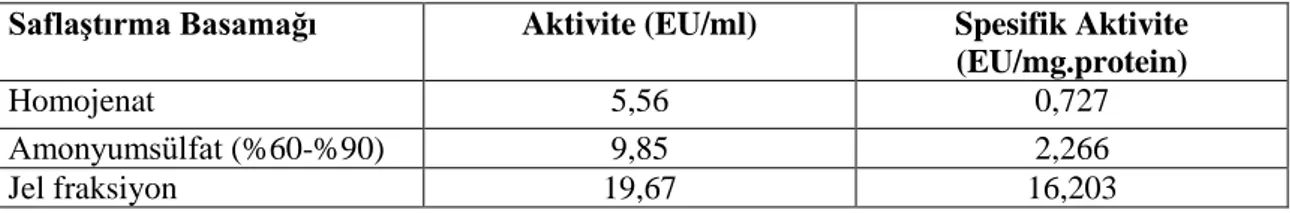 Çizelge 5.1. Haşhaş tohumu lipazının saflaştırma basamaklarında aktivite değişimi.  Saflaştırma Basamağı  Aktivite (EU/ml)  Spesifik Aktivite 