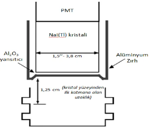 Foto  çoğaltıcı tüpü dışsal olarak etkileyen manyetik  alanlar, çoğaltma faktörünü ciddi  şekilde  farklılaştırılabilir(arttırabilir)