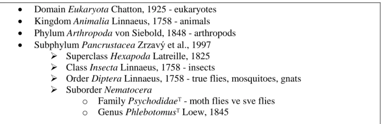 Çizelge 1.1. Phlebotomus’un sınıflveırılması (Taxanomicon, 2018). 