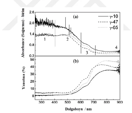 Şekil 2.4. Farklı çaplardaki hematit örneklerinin 250 nm-900 nm dalga boyu aralığındaki soğurma  ve yansıtma özellikleri (He vd., 2005)