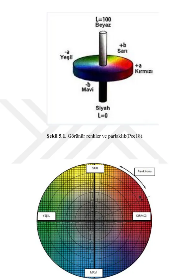 Şekil 5.1. Görünür renkler ve parlaklık(Pce18). 