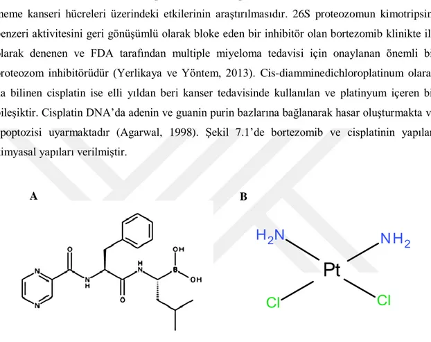 Şekil 7.1.  Bortezomib  (A)  ve  cisplatinin  (B)  kimyasal  yapıları.  Bortezomibin  kimyasal  yapısı  Yerlikaya  vd.,  2013’den  alınmıştır
