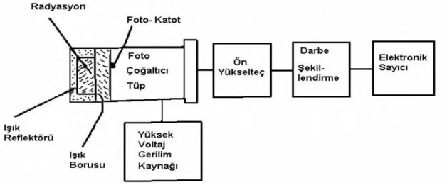 Şekil 3.1.Sintilasyondedektörü şeması (Değerlier, 2007). 