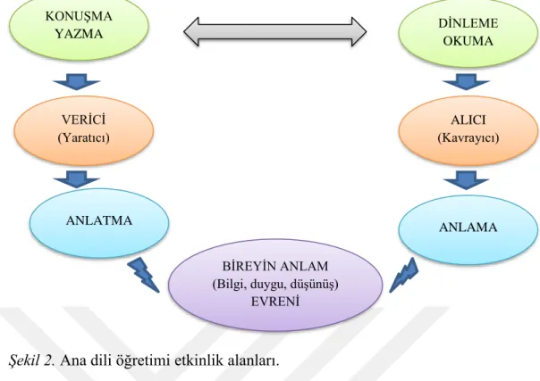Şekil 2. Ana dili öğretimi etkinlik alanları. 