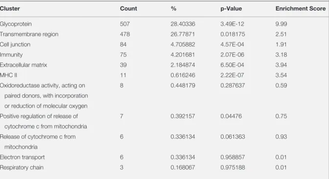 Table 2. Gene set enrichment analysis results for A375 and A2058. GSEA was performed using DAVID database to obtain the  clusters from differentially expressed genes between A375 and A2058