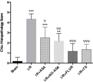Fig. 5. Bacterial translocation in liver, spleen and mesenteric lymph node (MLN) tissue samples (a) colony counts in tissue samples (CFU/gr tissue) (***p < 0.001; 