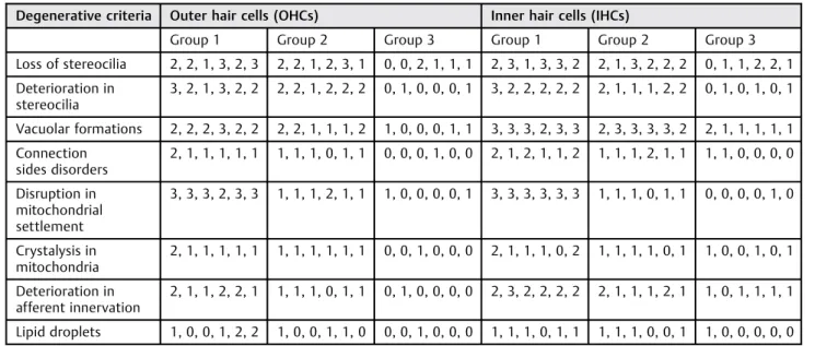 Table 2 Degenerative criteria and scores of the stria vascularis