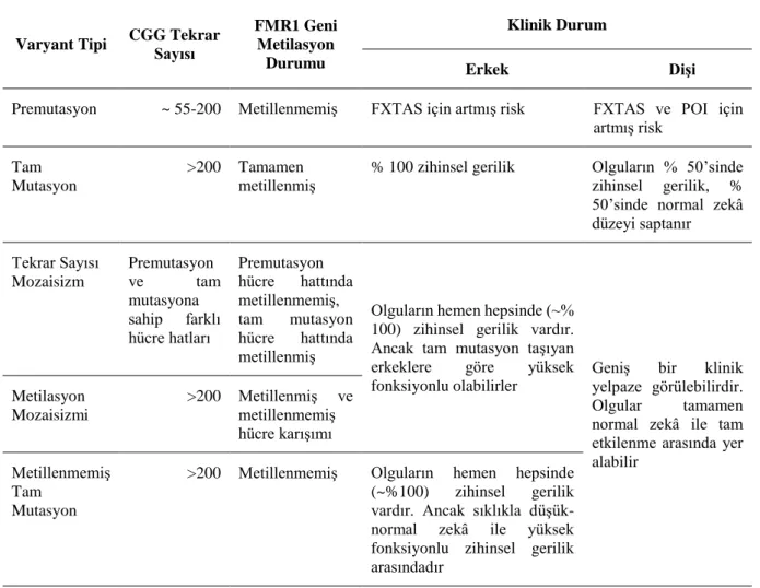 Tablo 2.  Moleküler ve Klinik Korelasyon 23   