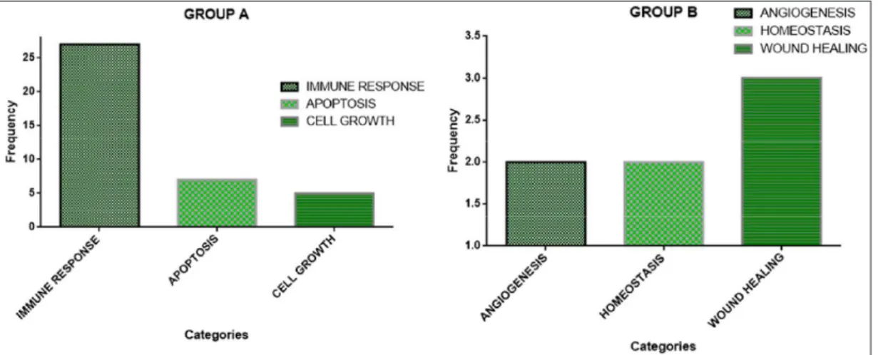 Figure 6.  Part (a) belongs to Group A and shows the apoptotic signalling pathway graph, while part (b) belongs to Group B and  shows the angiogenesis graph.