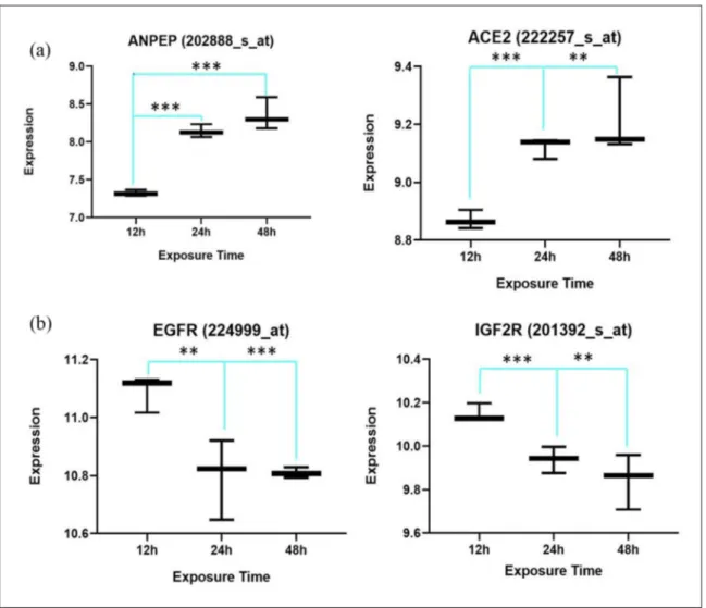 Figure 2.  Two out of four common differentially expressed renin–angiotensin system (RAS) genes show a positive correlation  with exposure time to the virus (a), while the other common genes, epidermal growth factor receptor (EGFR) and insulin-like  growth