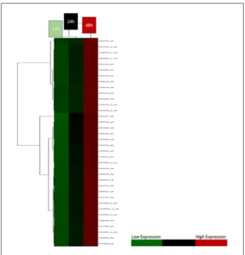 Table 3 shows the pathway analysis of all the signifi- signifi-cant genes. With the aim of discovering the relationship of  these genes with each other and with other genes, a  net-work analysis was performed (Figure 4).