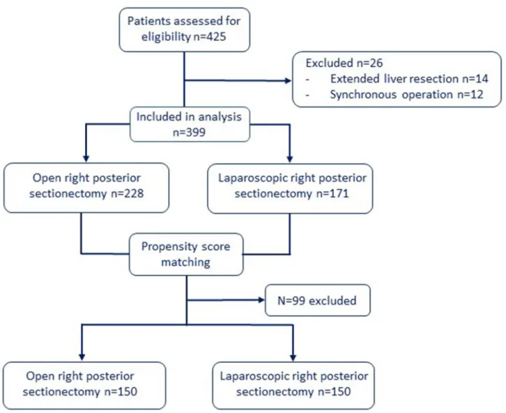 Fig. 1    Flow chart of included patients