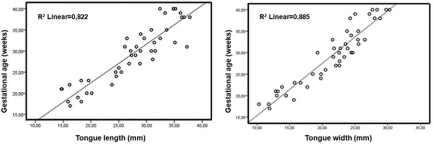 Fig. 2    Graphs of correlation of tongue length and width with gestational age