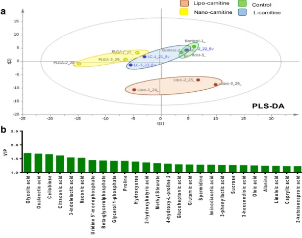 Fig. 6. The effects of L -carnitine with different nanocarrier systems on the metabolomic pro ﬁle of cardiac ﬁbroblast cell lines
