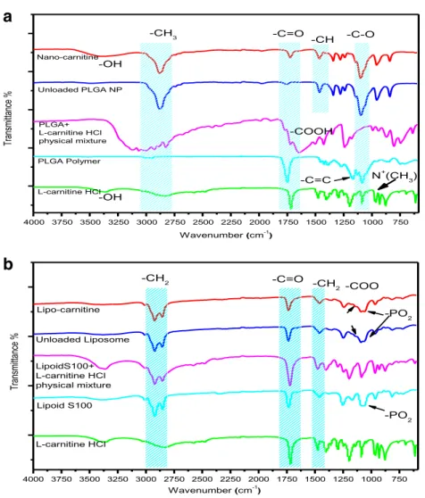 Fig. 1. FTIR/ATR spectra of a nano-carnitine, unloaded PLGA NP, PLGA and L -carnitine HCl physical mixture, PLGA polymer, and L -carnitine HCl and b lipo-carnitine, unloaded liposome, Lipoid S100 and L -carnitine HCl physical mixture, Lipoid S100, and L -c