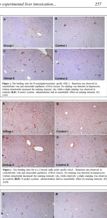 Table 1: Effect of NAC and CCl 4 treatments on bioche- bioche-mical parameters