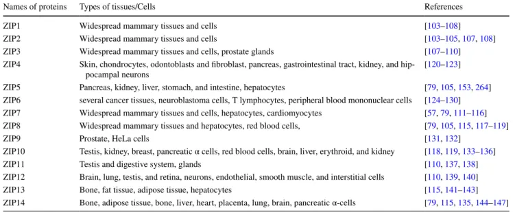 Table 1    Distribution of  Zn 2+ -transporters in mammalian tissues/cells responsible of  Zn 2+ -influx into cytosol (ZIPs)