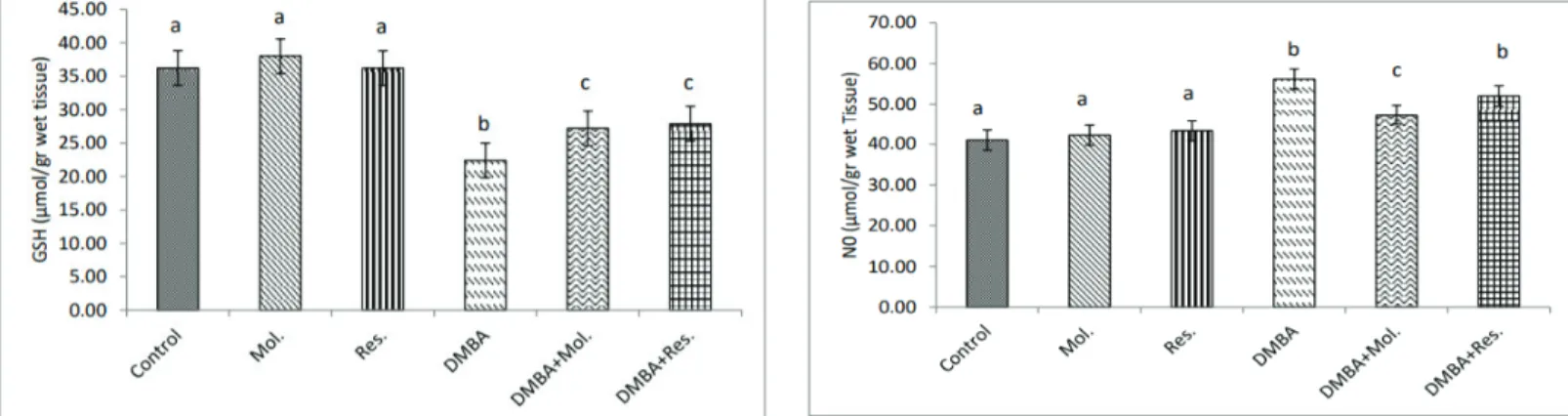 Figure 2. Comparison  of  NO  results.  Different  letters  indicate  the  statistical  difference between the groups (p&lt;0.05)