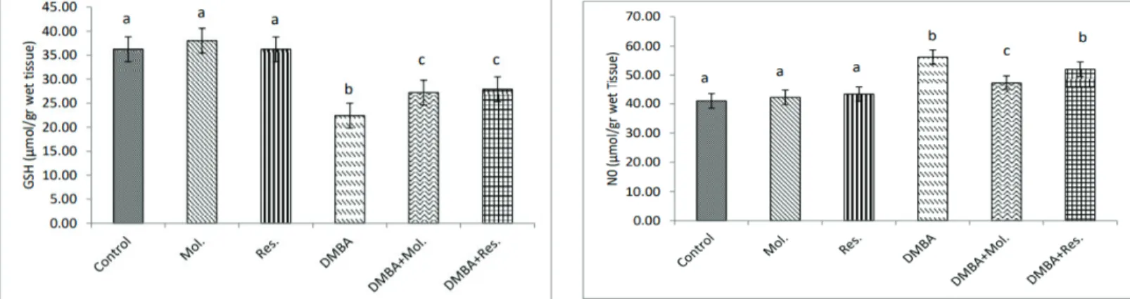 Figure 2. Comparison  of  NO  results.  Different  letters  indicate  the  statistical  difference between the groups (p<0.05)