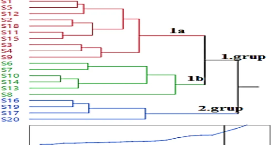 Şekil 2. Kümeleme (cluster) analizi sonucunda elde edilen veriler ile hazırlanan gruplar arası benzerlik  dendogramı