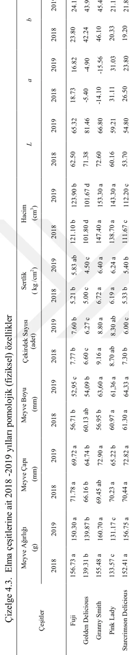 Çizelge 4.3.  Elma çeşitlerine ait 2018 -2019 yılları pomolojik (fiziksel) özellikler  ÇeşitlerMeyve Ağırlığı (g) Meyve Çapı  (mm) Meyve Boyu (mm) Çekirdek Sayısı (adet) Sertlik( kg /cm2) 