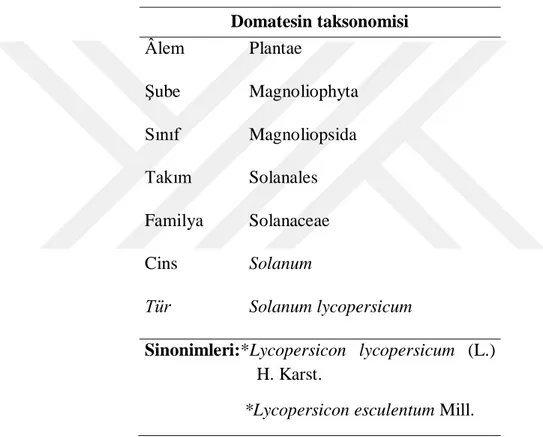 Çizelge 1.1. Domates bitkisinin sınıflandırılması  Domatesin taksonomisi  Âlem    Şube        Sınıf             Takım        Familya   Cins              Tür               Plantae  Magnoliophyta  Magnoliopsida Solanales Solanaceae Solanum  Solanum lycopersi