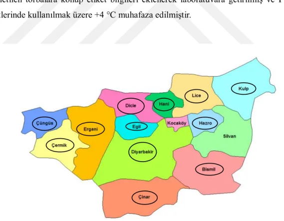 Şekil 3.1.   Diyarbakır ilinde sürvey gerçekleştirilen ilçeler 