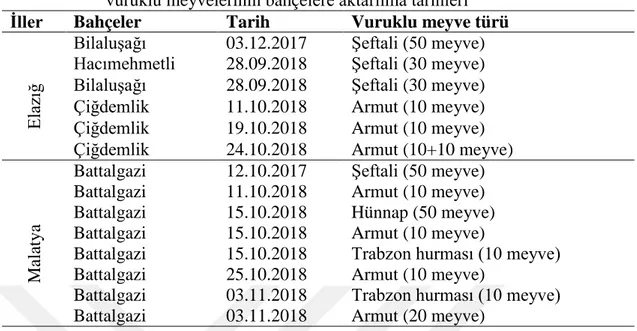 Çizelge 3.2.  Ceratitis capitata‟nın kıĢı geçirme durumunun belirlenmesi amacıyla  vuruklu meyvelerinin bahçelere aktarılma tarihleri 