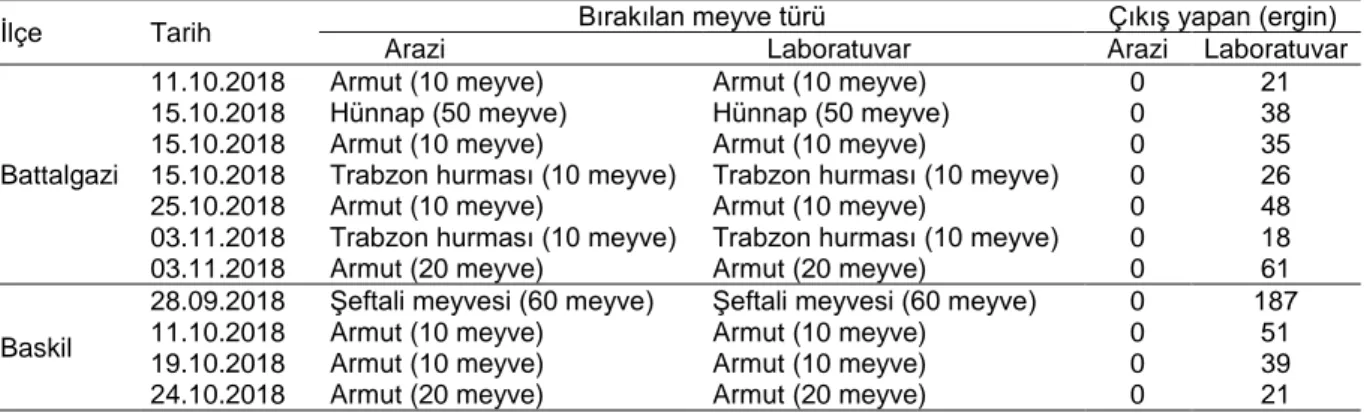 Çizelge 6. Malatya ili Battalgazi ve Elazığ ili Baskil ilçesinde 2018 yılında arazi ve laboratuvar şartlarına bırakılan  Ceratitis capitata pupalarından çıkan ergin sayıları 