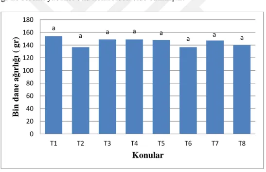 Şekil  4.3’  de  deneme  parsellerinden  elde  edilen  ürün  1000  dane  ağırlıkları  verilmiştir
