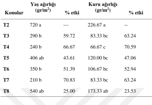 Çizelge 4.2. Deneme konularının yabancı otların yaş ve kuru ağırlıklarına olan etkileri 