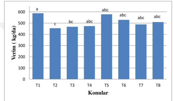 Şekil 4.7. Ürün verim değerleri (kg/da) 
