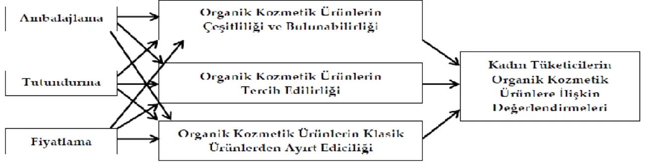 Şekil 1.’de organik kozmetik ürünlere ilişkin tüketici değerlendirmesi, bağımlı değişkeni ifade ederken; fiyat  düzeyi,  tutundurma  tekniklerinin  etkililiği/yetersizliği,  ambalajlama  ile  organik  ürünlerin  tercih  edilirliği,  çeşitliliği  ve  buluna