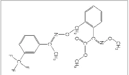 Şekil 3.2. Trifloxystrobin’in kimyasal yapısı 