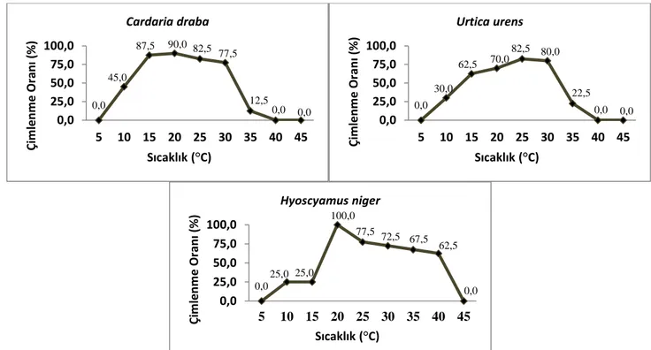 Şekil 1. Kır teresi (Cardaria draba (L.) Desv.), küçük ısırgan (Urtica urens L.) ve kara banotu (Hyoscyamus niger  L.) tohumlarının çimlenme sıcaklıkları 