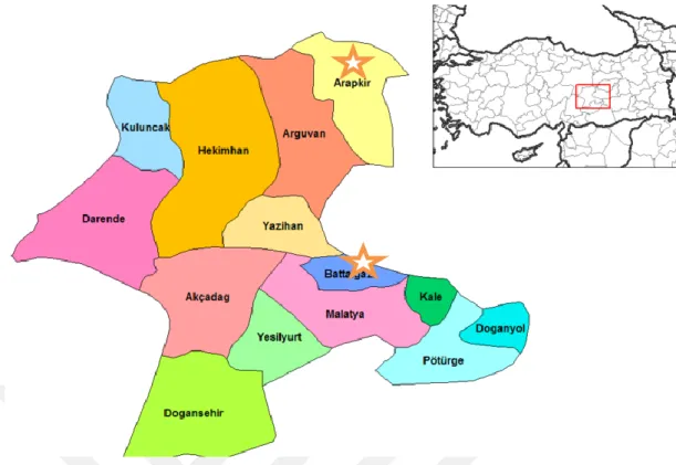 Şekil 3.1. Malatya ilinde survey gerçekleştirilen alanlar (Arapgir ve Battalgazi  ilçeleri)  